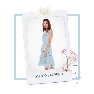 Moon Flower Fashion House – Where Fashion Blooms like Moon Flowers